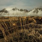 Islanda 2024 - Vestrahorn (31)