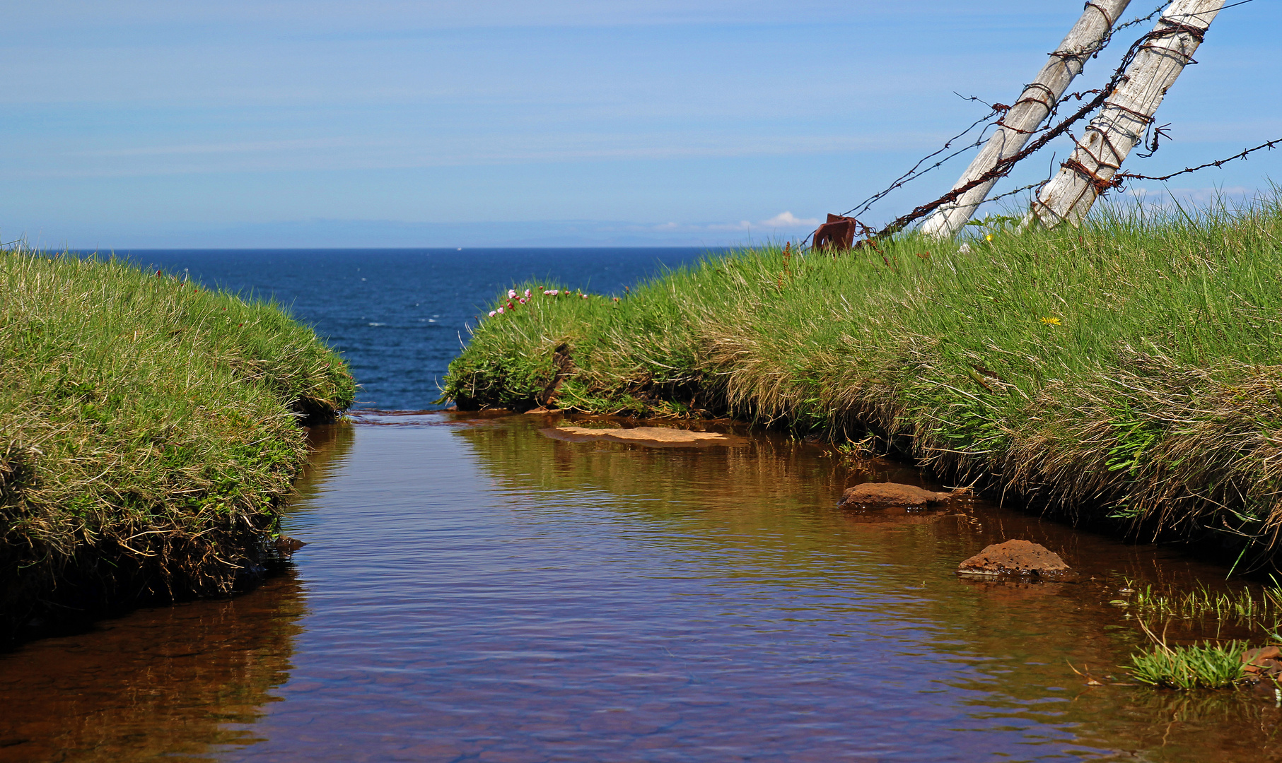 Island_Bach fällt ins Meer