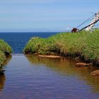 Island_Bach fällt ins Meer