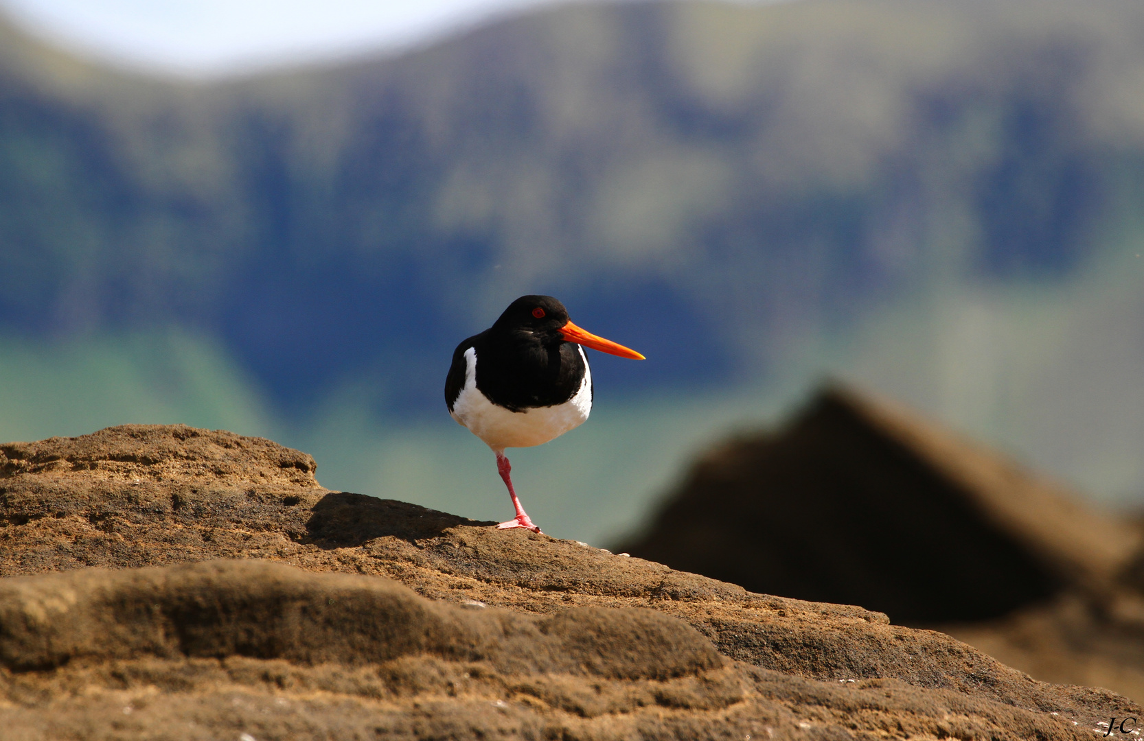 " ISLANDE "