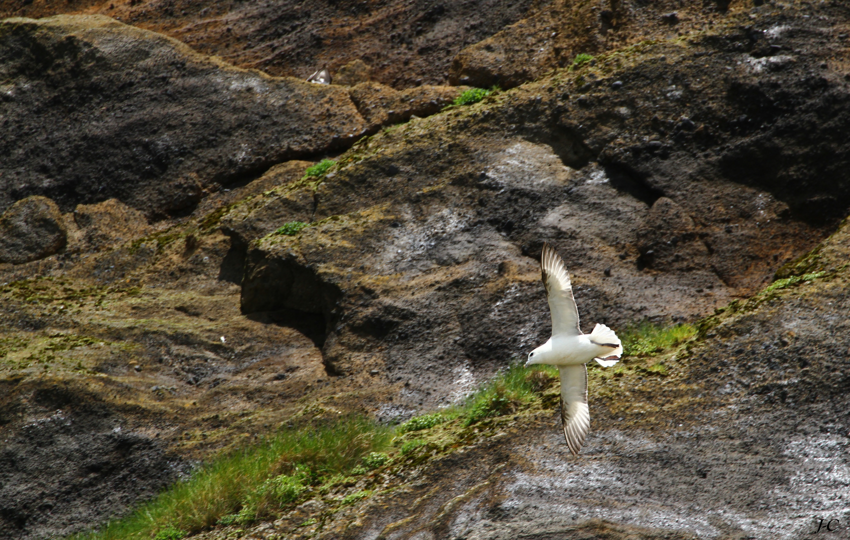 " ISLANDE "