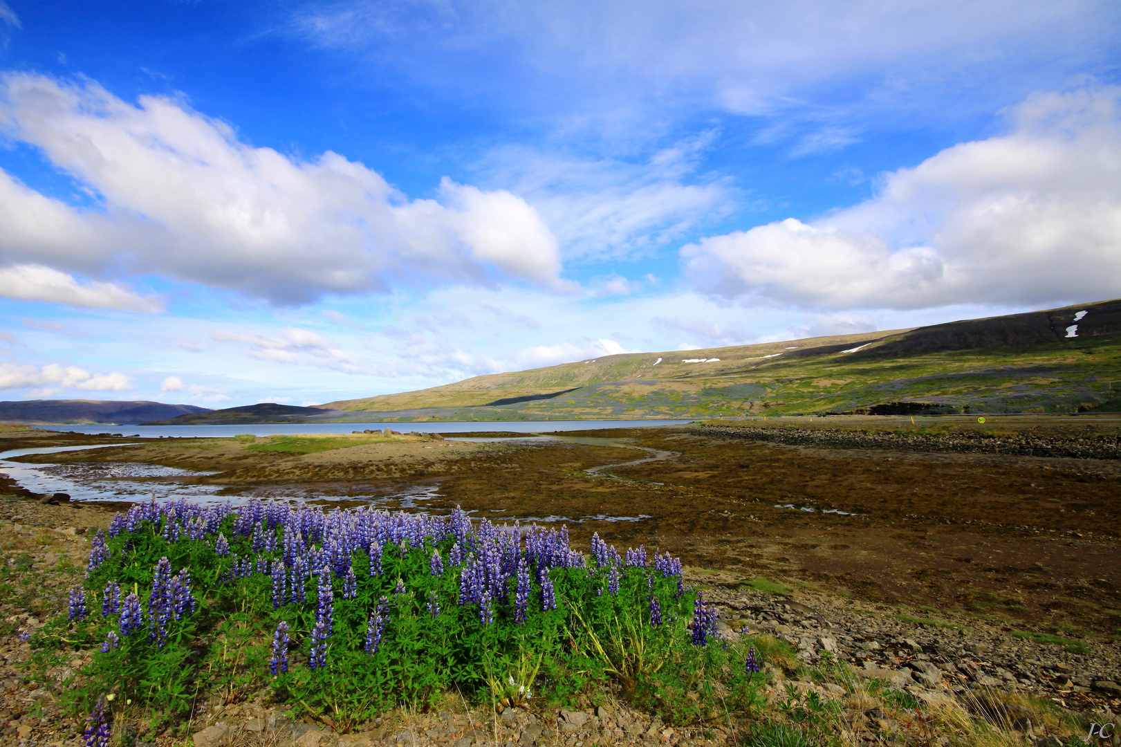 " ISLANDE "