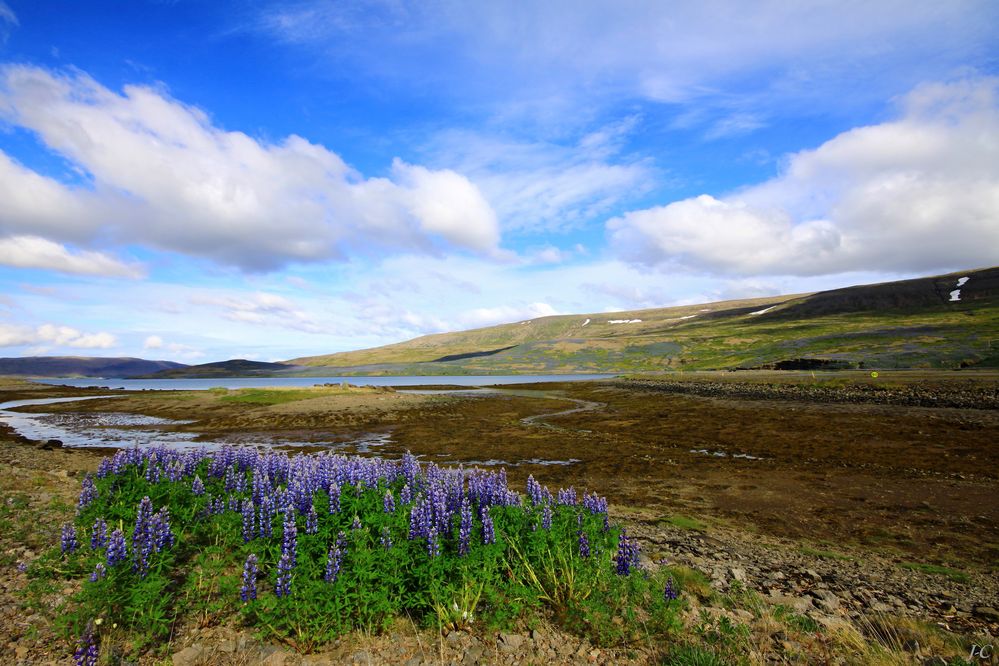 " ISLANDE "