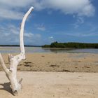 islandhopping-Palawan