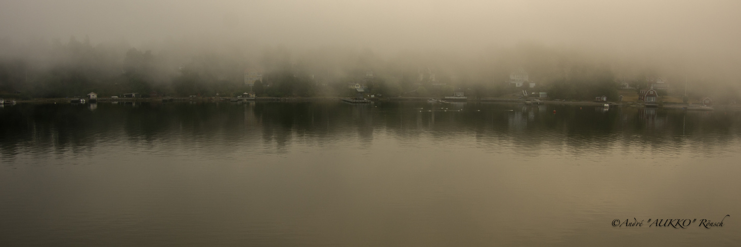 "ISLANDS IN THE FOG"