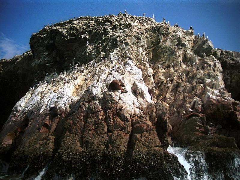 Islas Ballestas 1