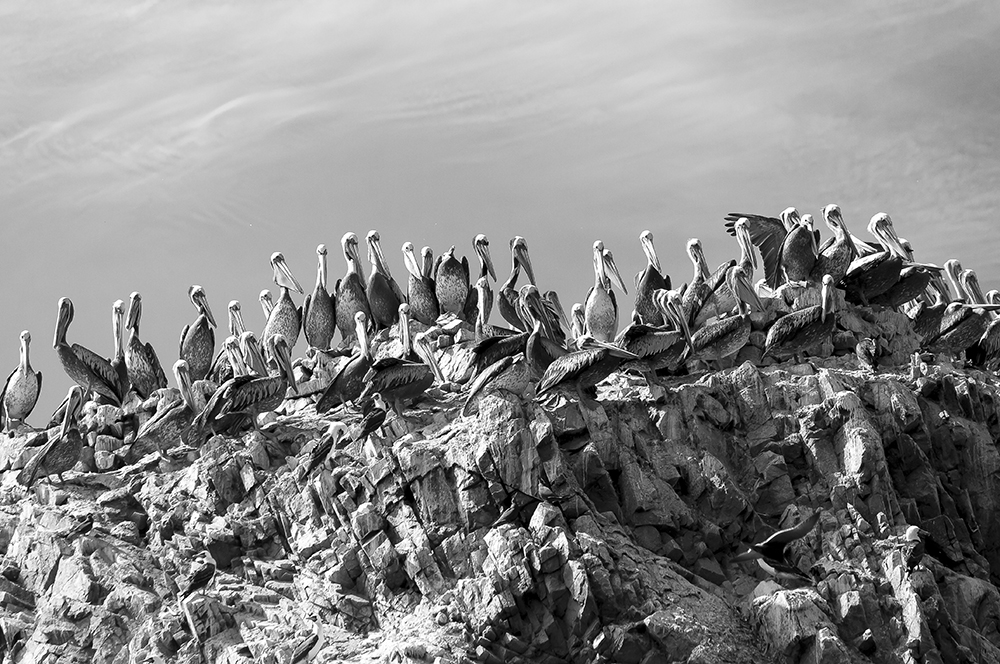 Islas Ballestas