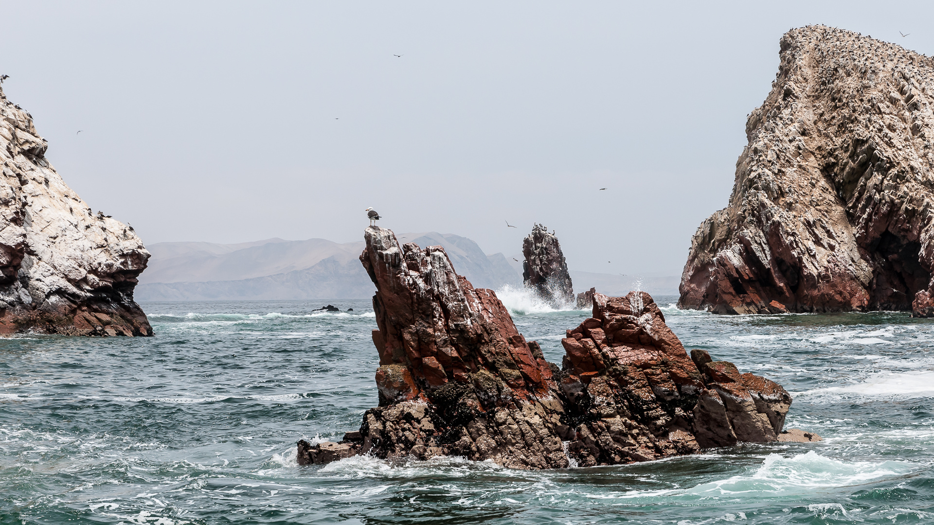 Islas Ballestas