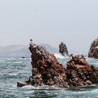 Islas Ballestas