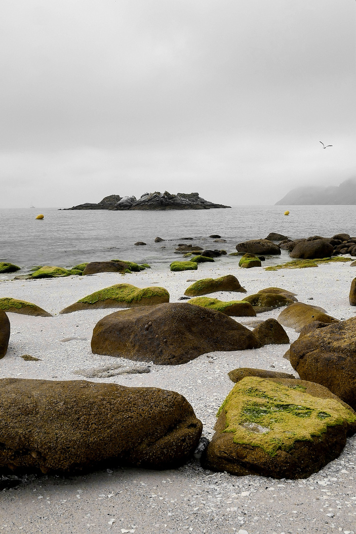 Islas Cies 2019 ll