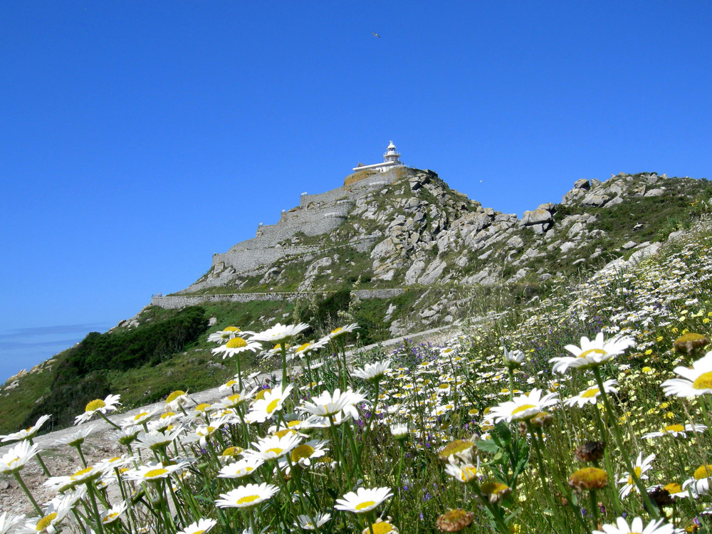 Islas Cíes, camino del Faro.