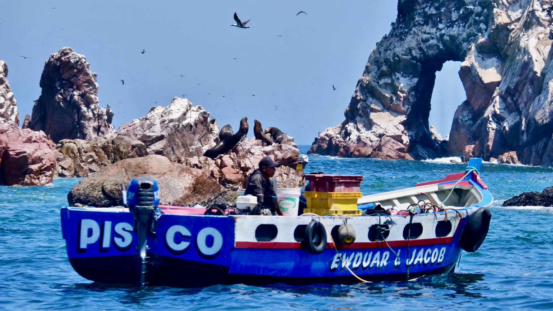 Islas de Ballestas in Nationalreservat Paracas