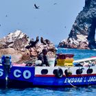 Islas de Ballestas in Nationalreservat Paracas