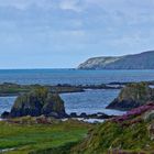 Islay Coast