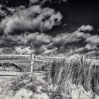 Isle of Ameland / Netherlands