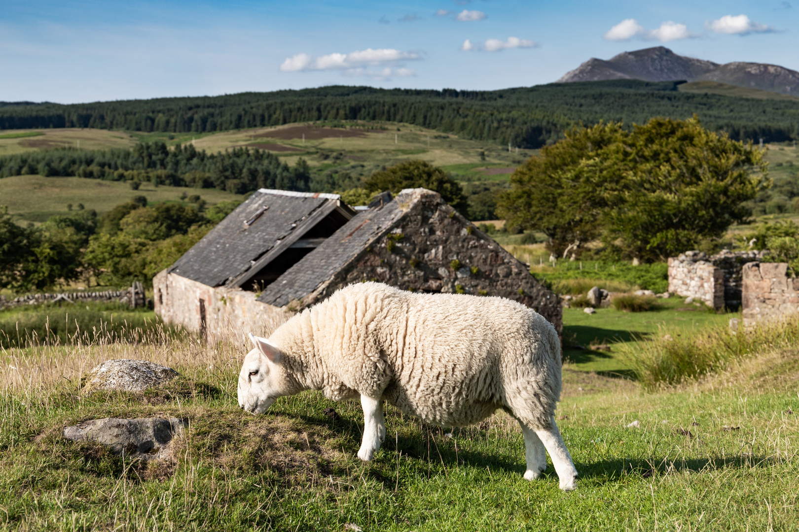 Isle of Arran, Marchie Moor