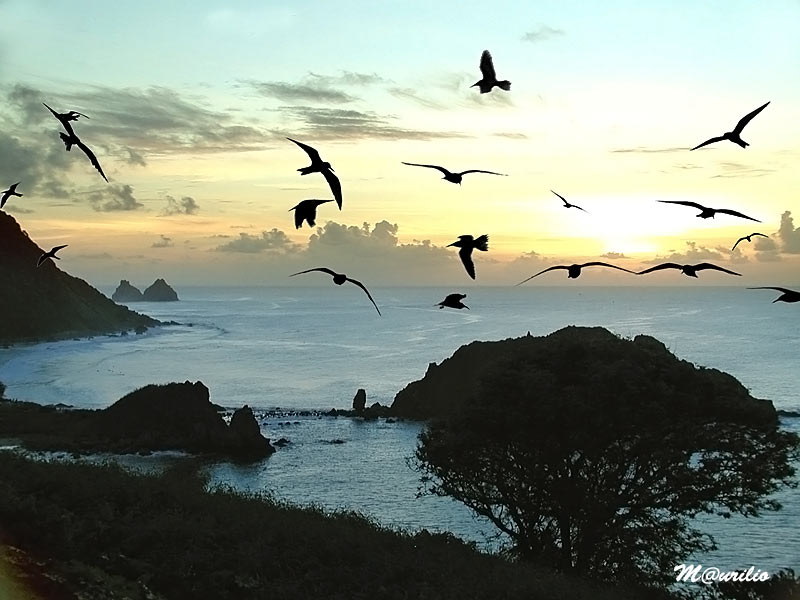 Isle of Fernando de Noronha