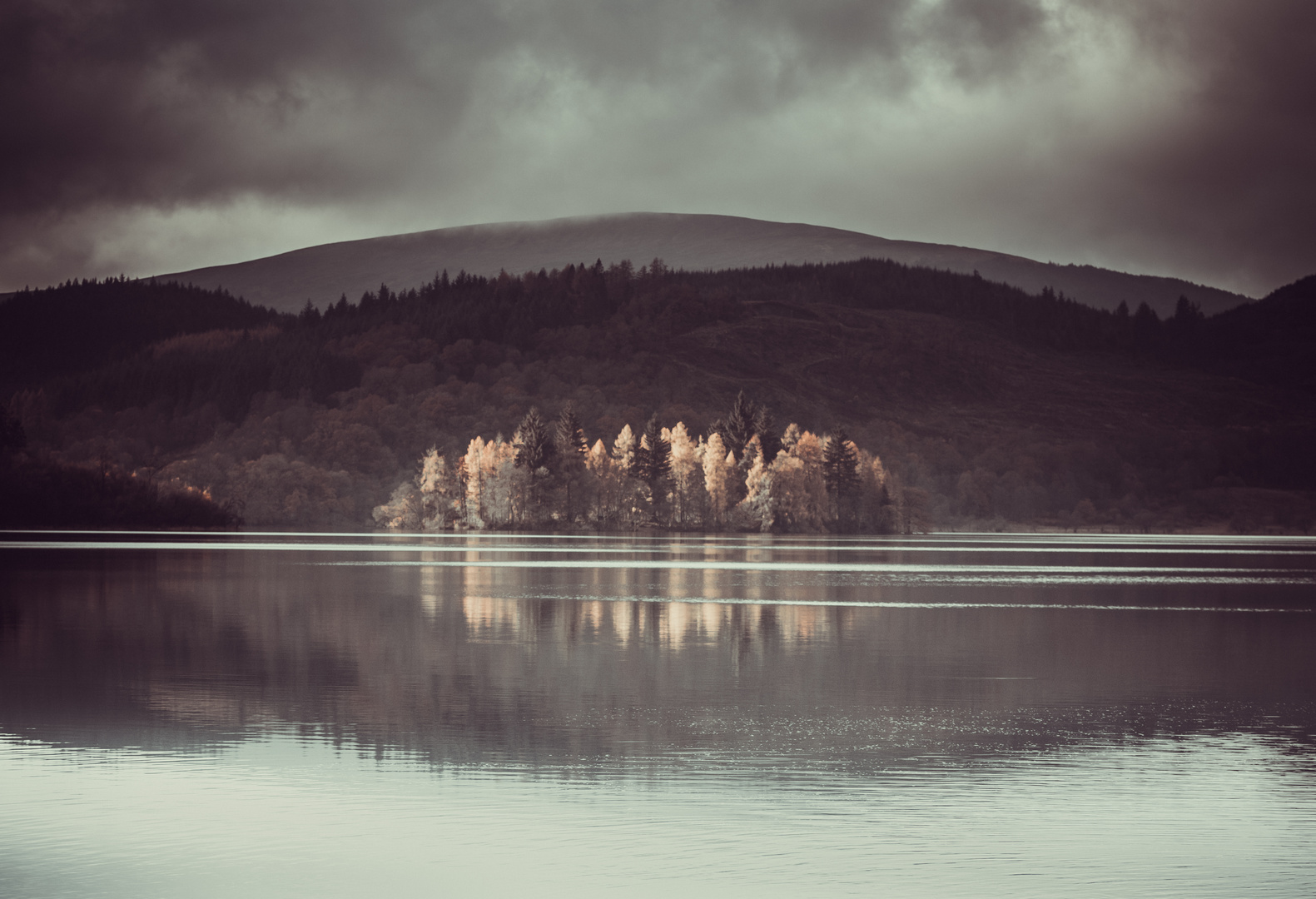 Isle of golden trees 