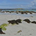 Isle of Iona, North End