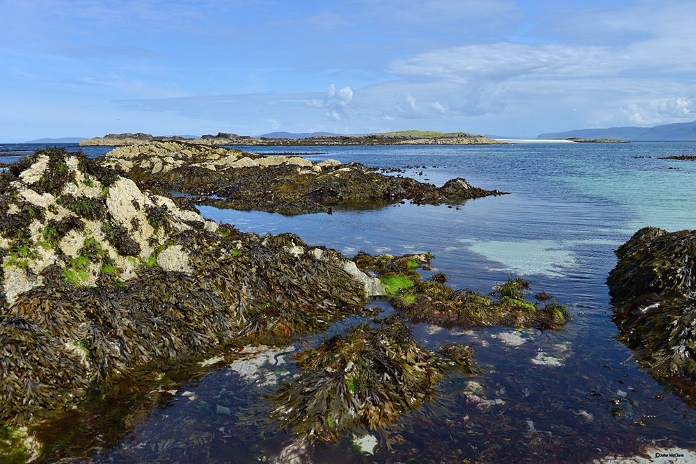 Isle of Iona, Seaweed meets turquoise