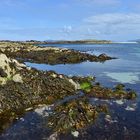 Isle of Iona, Seaweed meets turquoise