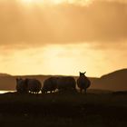 Isle of Lewis - sunset