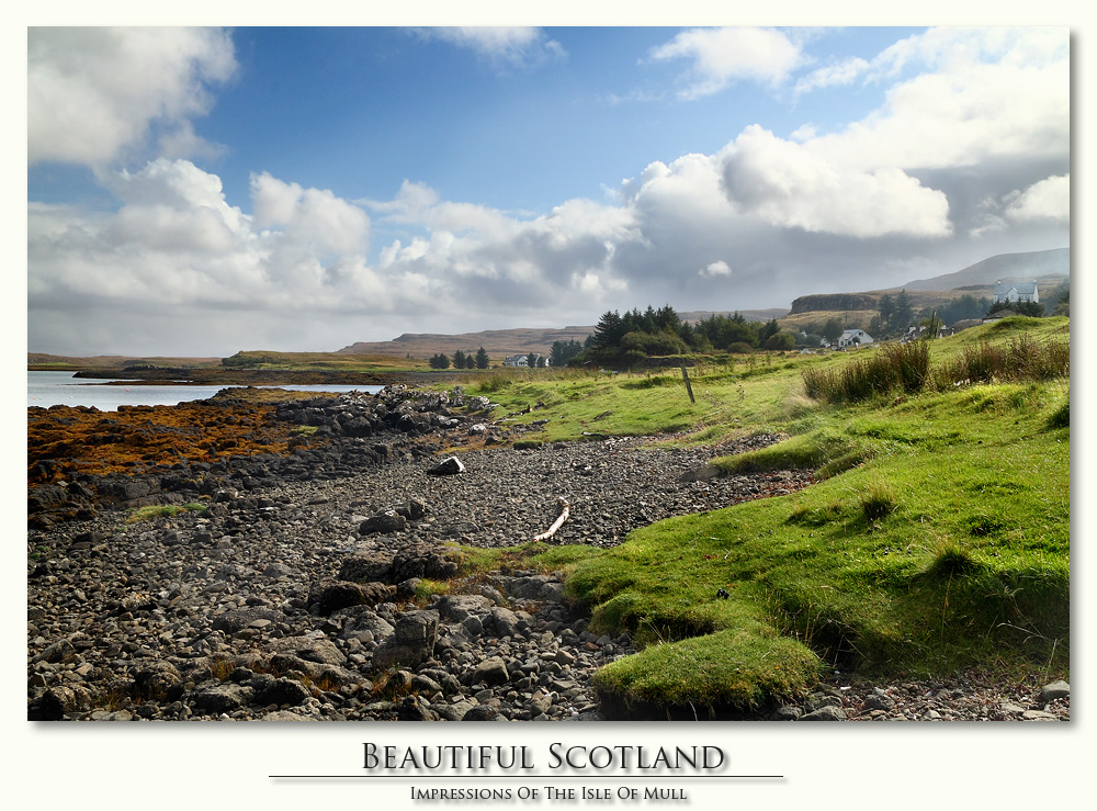 [ Isle of Mull ]