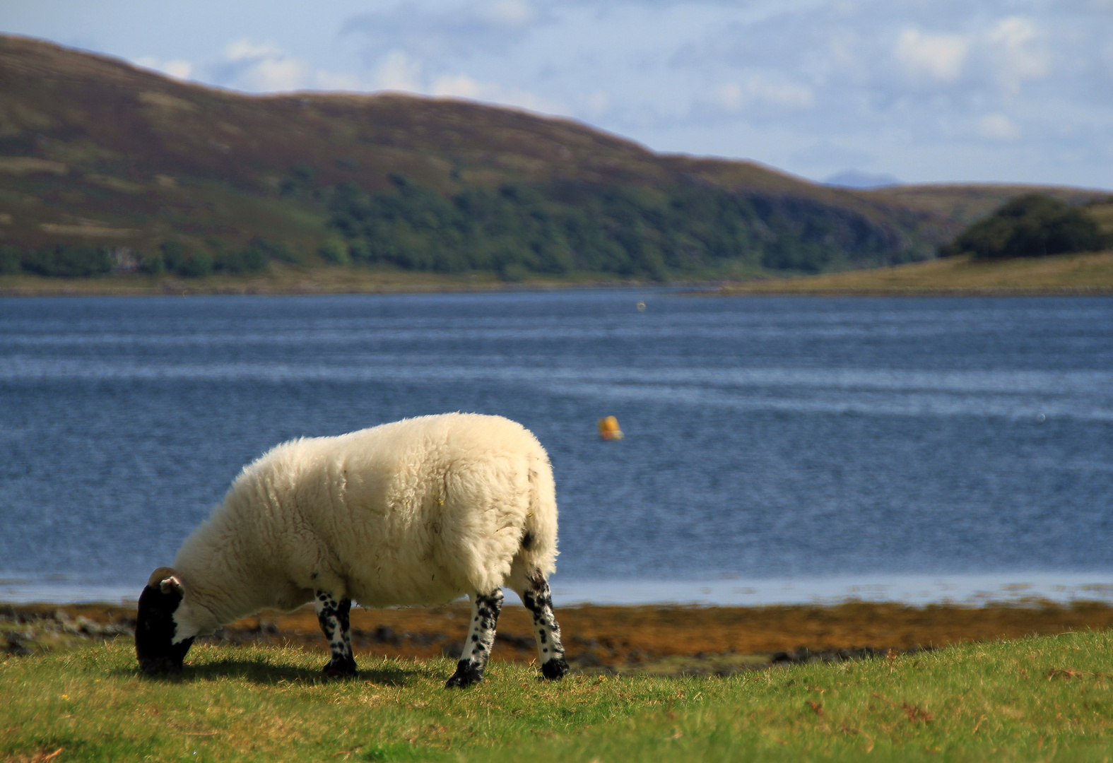 Isle of Mull