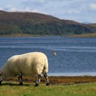 Isle of Mull