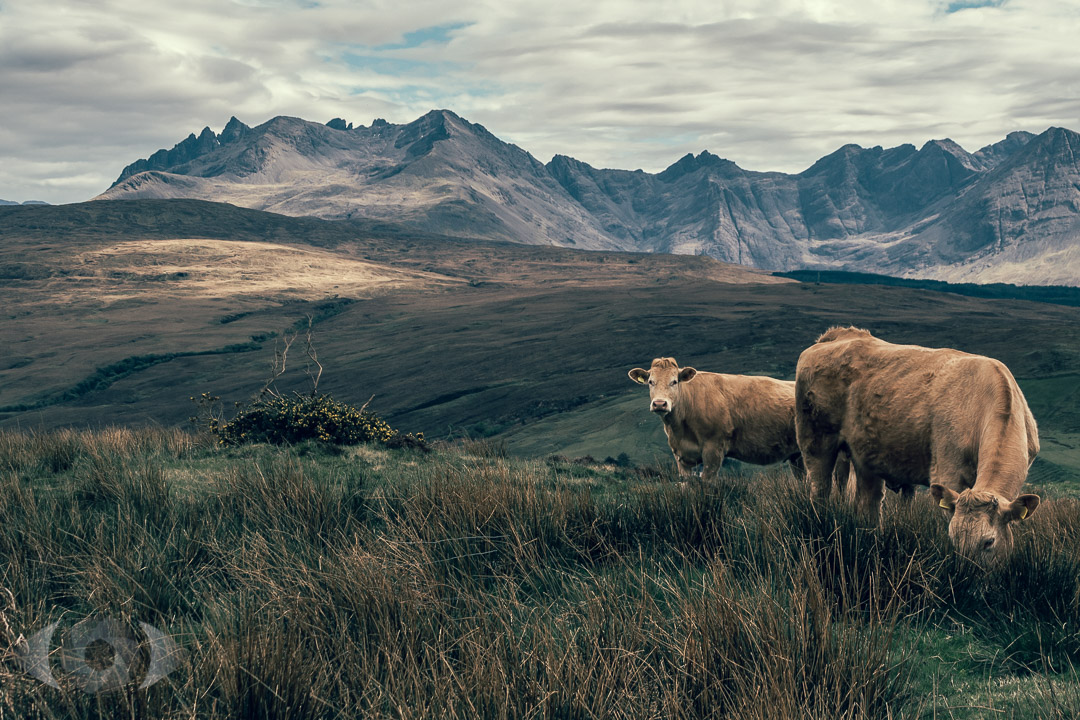 Isle of Skye