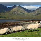 Isle of Skye - Bla Bhein