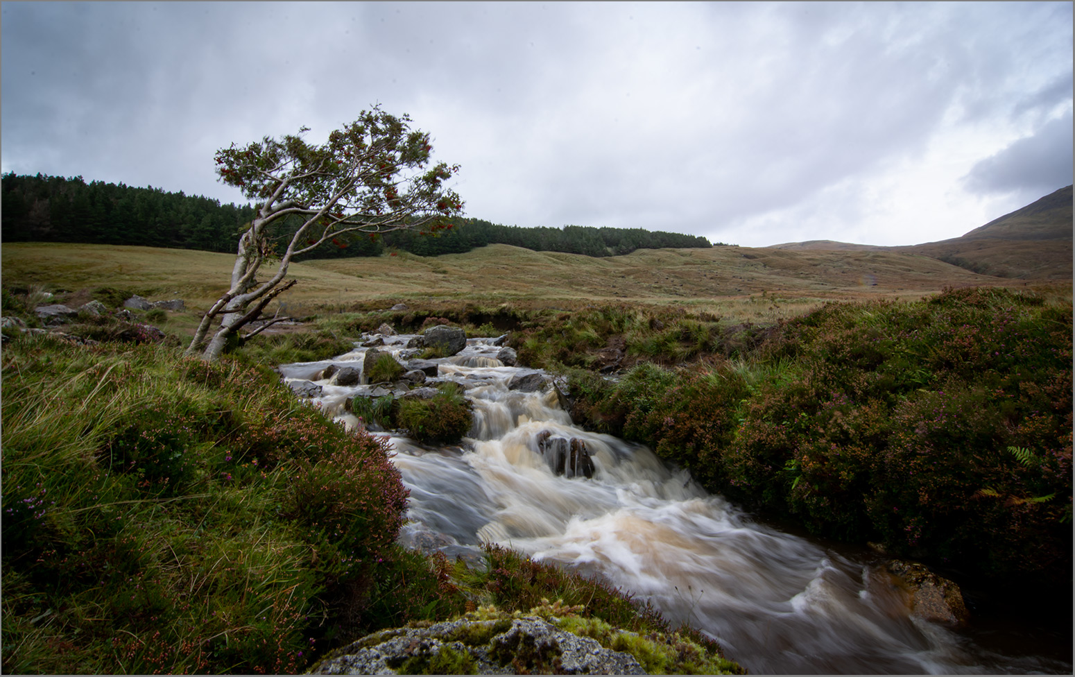 Isle of Skye  -  märchenhaftes Schottland