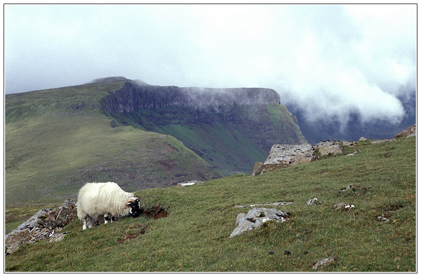 Isle of Skye - Trotternish Halbinsel