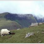 Isle of Skye - Trotternish Halbinsel