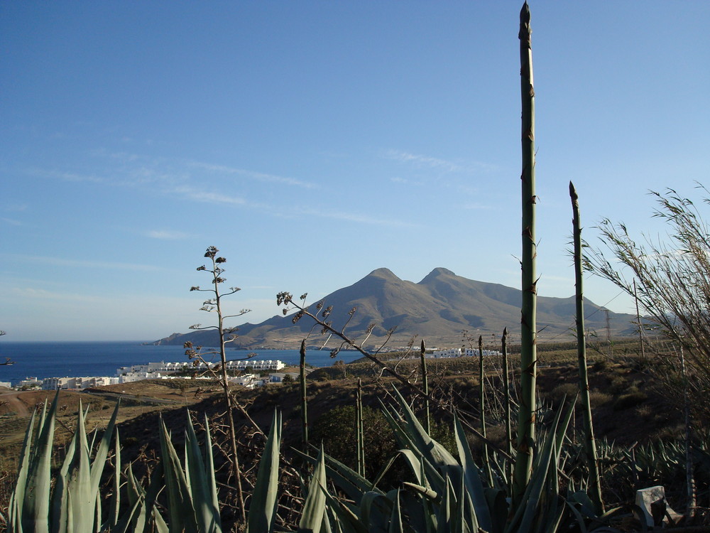 ISLETA DEL MORO