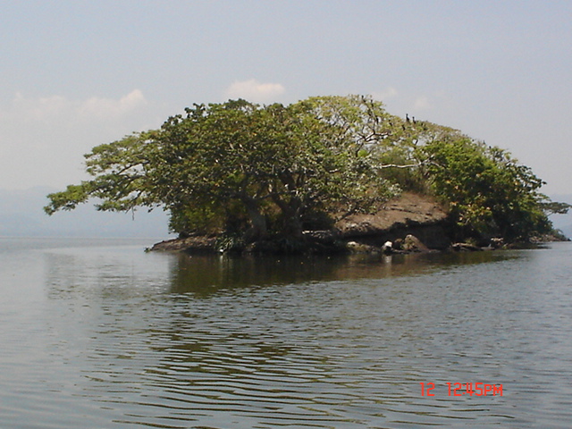 ISLOTE EN LA LAGUNA DE CATEMACO, FORMA CAPPPRICHOSA