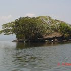 ISLOTE EN LA LAGUNA DE CATEMACO, FORMA CAPPPRICHOSA