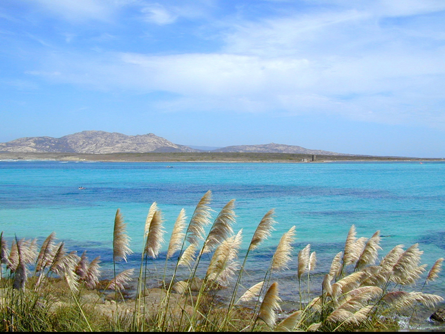 isola Asinara