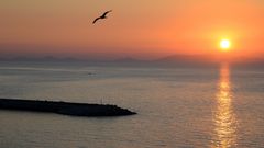 Isola Asinara, Sardegna