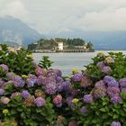 Isola Bella