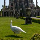 Isola Bella - Lago Maggiore