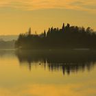 Isola dei Cipressi Lago di Pusiano (Lecco)