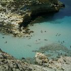 Isola dei Conigli "Lampedusa"