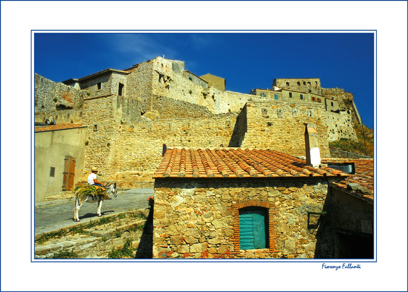 Isola del Giglio...