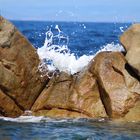 Isola del Giglio - Infrangersi dell'onda