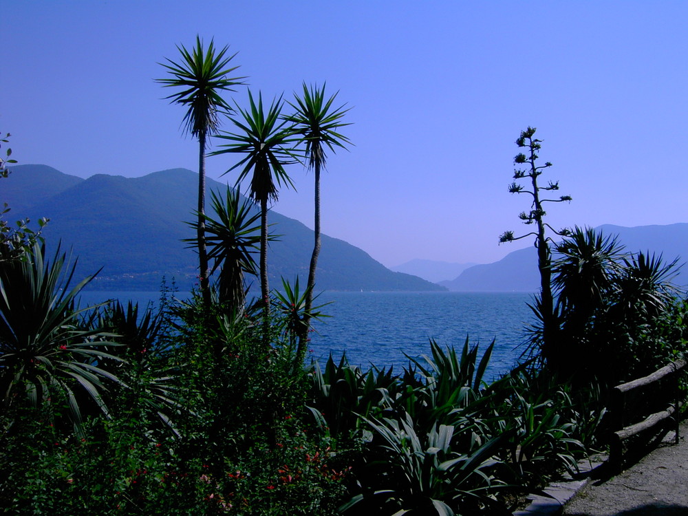 Isola di Brissago 2