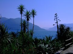 Isola di Brissago 2