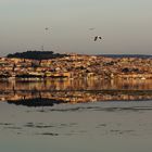 Isola di S. Antioco ( CI )