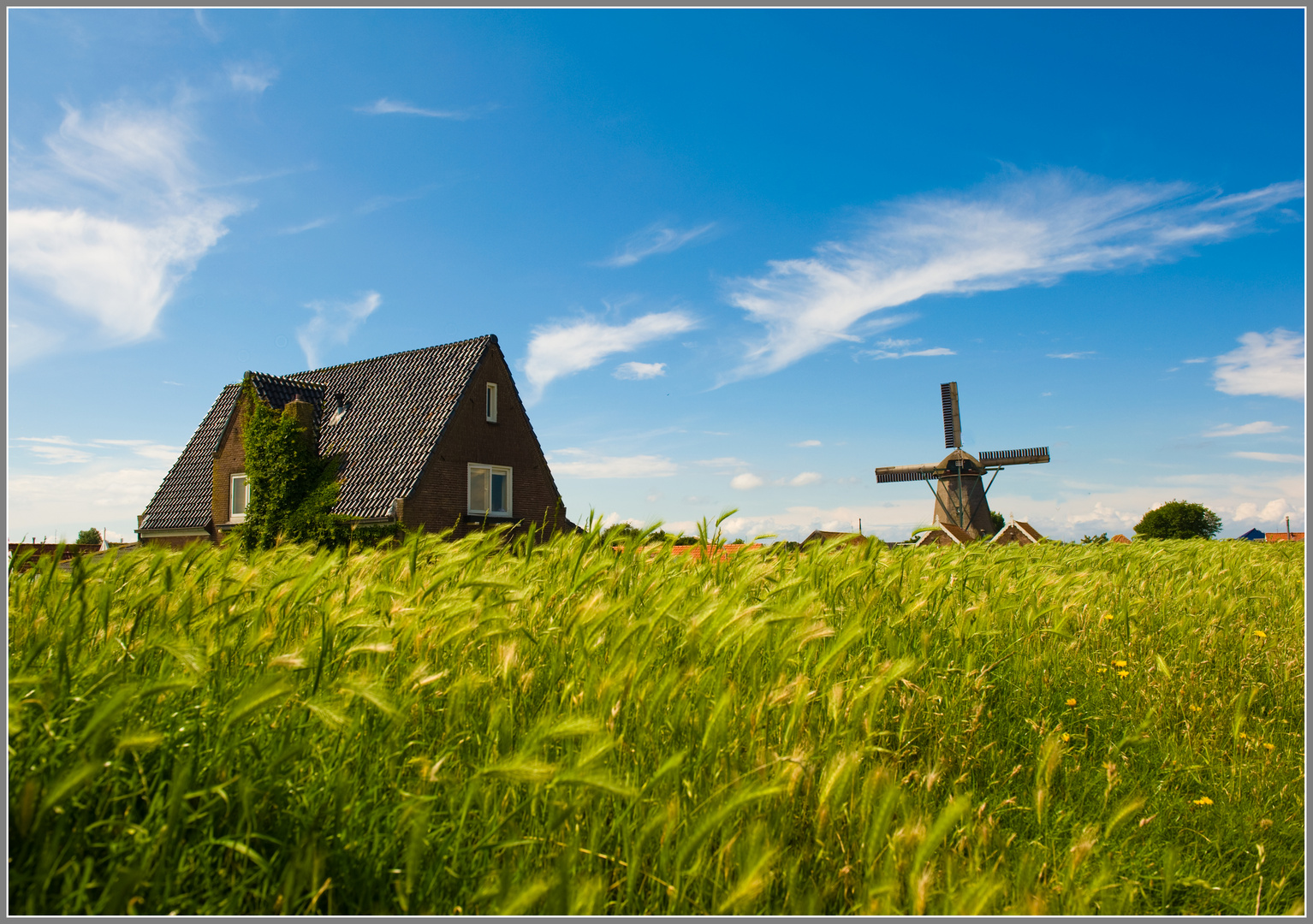 Isola di Texel (NL)