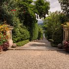 Isola Madre, ingresso dei giardini